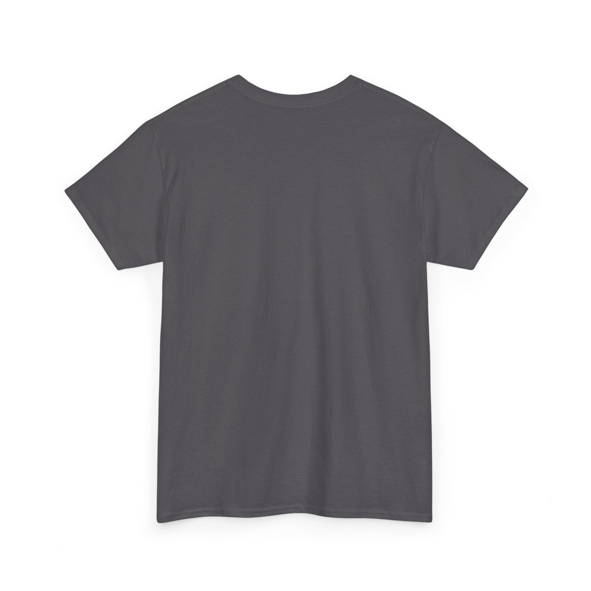 Seasoned in Grace T-Shirt — 'Salted Human' Vintage Spice Jar Faith Tee