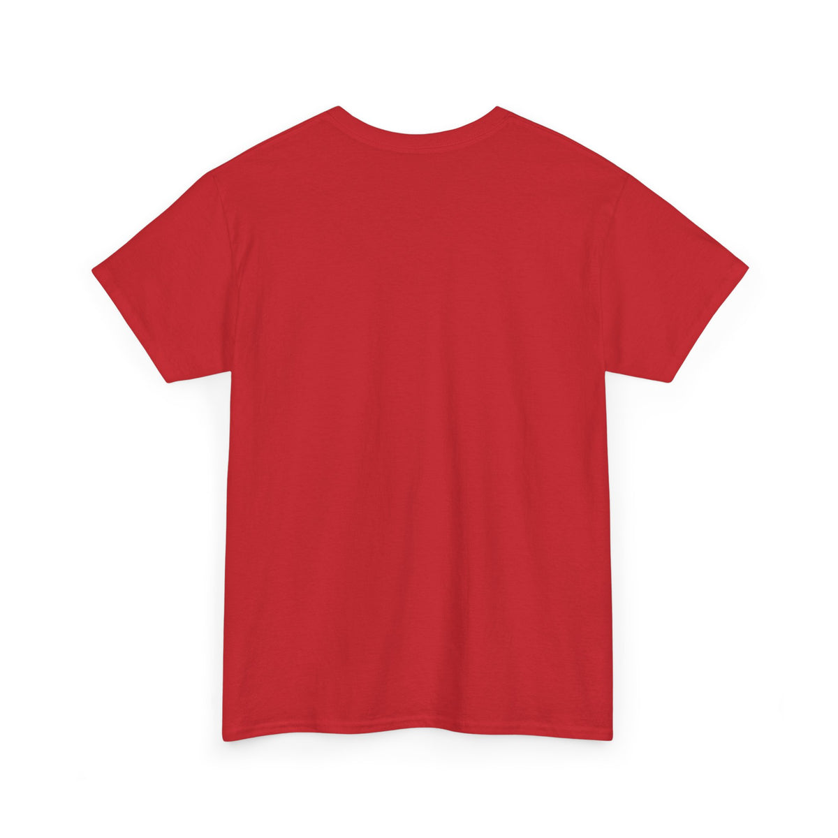 Seasoned in Grace T-Shirt — 'Salted Human' Vintage Spice Jar Faith Tee